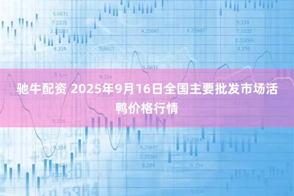 驰牛配资 2025年9月16日全国主要批发市场活鸭价格行情