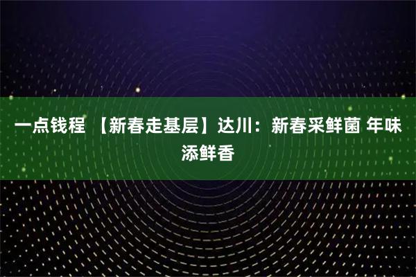 一点钱程 【新春走基层】达川：新春采鲜菌 年味添鲜香