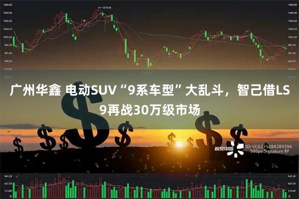 广州华鑫 电动SUV“9系车型”大乱斗，智己借LS9再战30万级市场